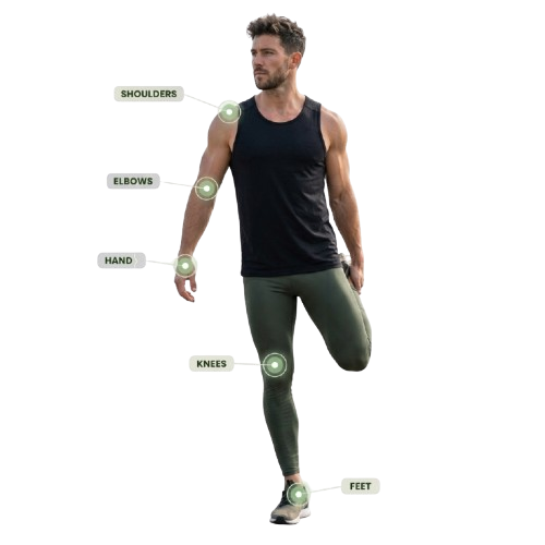 Body diagram